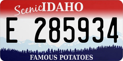 ID license plate E285934