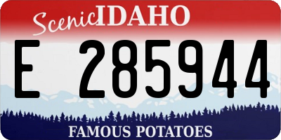 ID license plate E285944