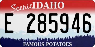ID license plate E285946