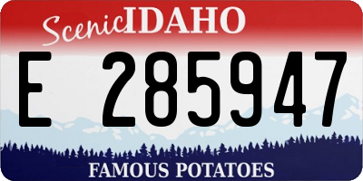 ID license plate E285947