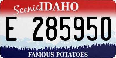 ID license plate E285950