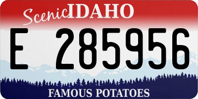 ID license plate E285956