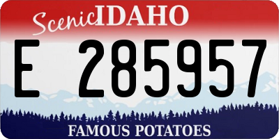 ID license plate E285957