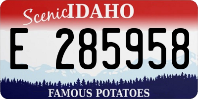 ID license plate E285958