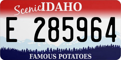 ID license plate E285964