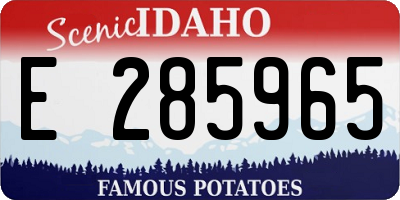 ID license plate E285965