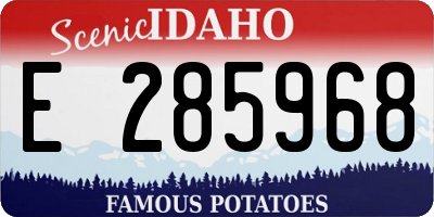 ID license plate E285968