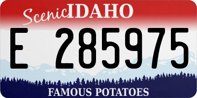 ID license plate E285975