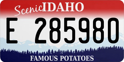 ID license plate E285980