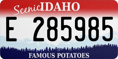 ID license plate E285985