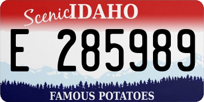 ID license plate E285989