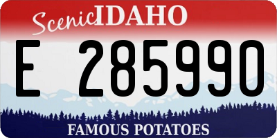 ID license plate E285990