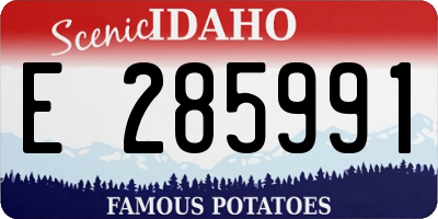 ID license plate E285991