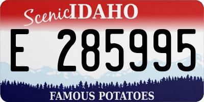 ID license plate E285995