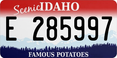 ID license plate E285997