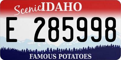 ID license plate E285998
