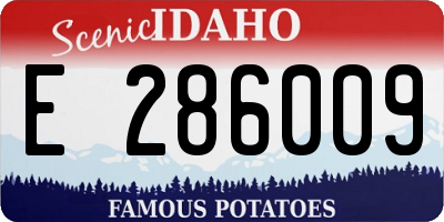 ID license plate E286009