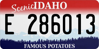 ID license plate E286013