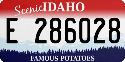 ID license plate E286028