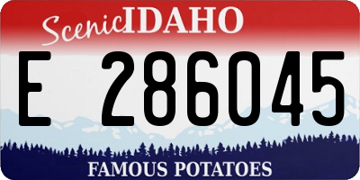 ID license plate E286045