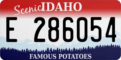 ID license plate E286054