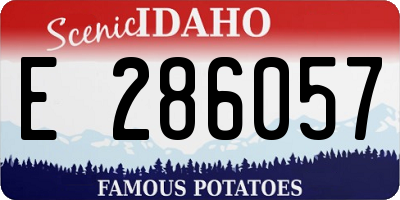 ID license plate E286057