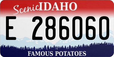 ID license plate E286060