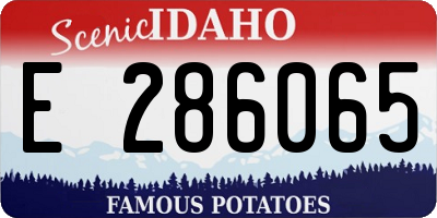 ID license plate E286065