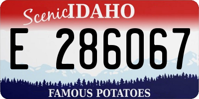 ID license plate E286067