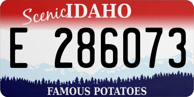 ID license plate E286073