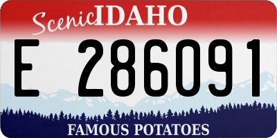 ID license plate E286091