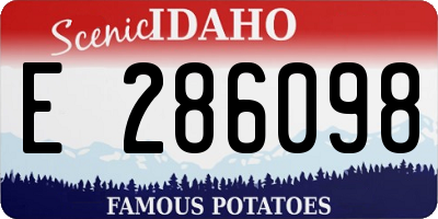 ID license plate E286098
