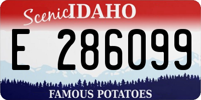 ID license plate E286099