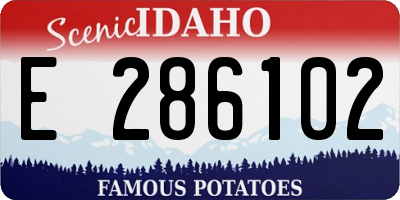 ID license plate E286102