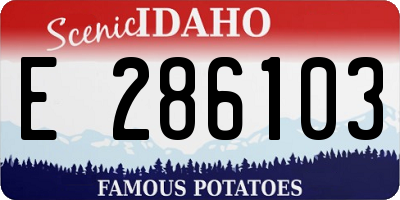 ID license plate E286103