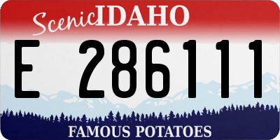 ID license plate E286111