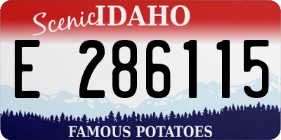 ID license plate E286115
