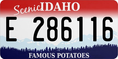 ID license plate E286116