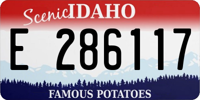 ID license plate E286117