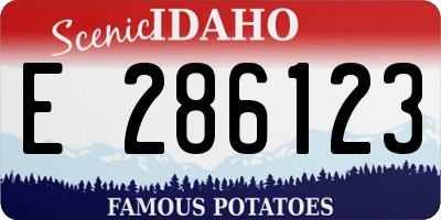 ID license plate E286123