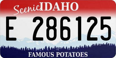 ID license plate E286125