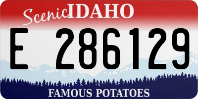 ID license plate E286129