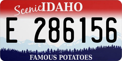 ID license plate E286156