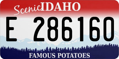 ID license plate E286160