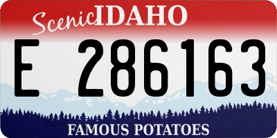 ID license plate E286163