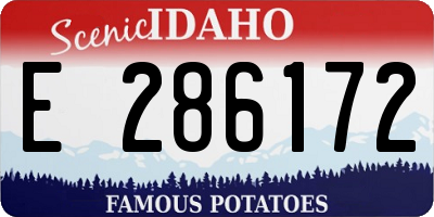 ID license plate E286172