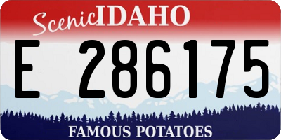 ID license plate E286175