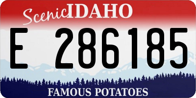 ID license plate E286185