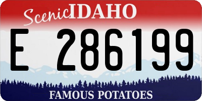 ID license plate E286199