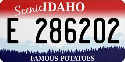 ID license plate E286202